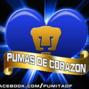 Meet your Posher, Ivan